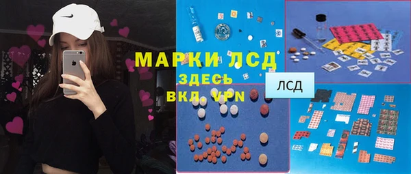 ГАЛЛЮЦИНОГЕННЫЕ ГРИБЫ Алексин