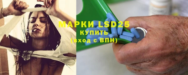 ГАЛЛЮЦИНОГЕННЫЕ ГРИБЫ Алексин