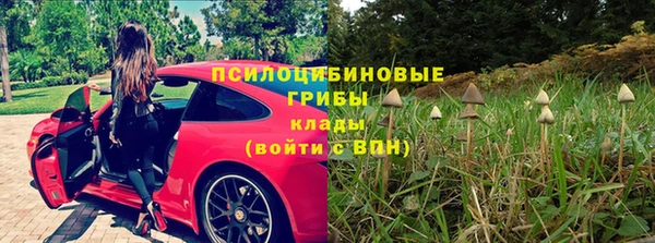МДПВ Алзамай