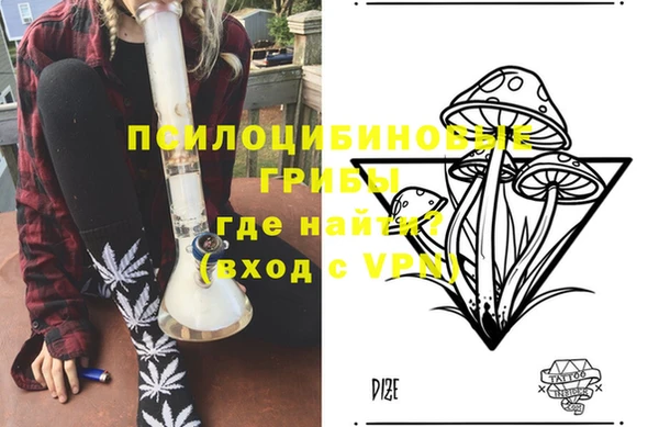 МДПВ Алзамай