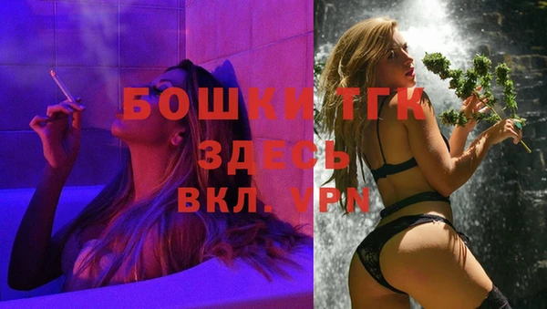 МДПВ Алзамай