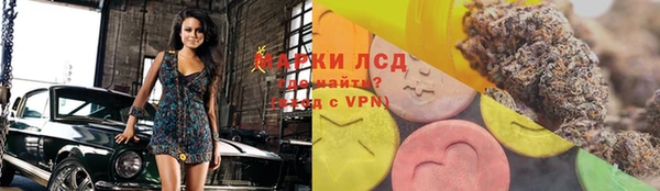 ГАЛЛЮЦИНОГЕННЫЕ ГРИБЫ Алексин